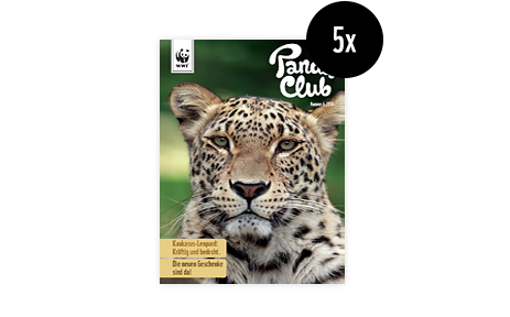 Panda Club Magazin