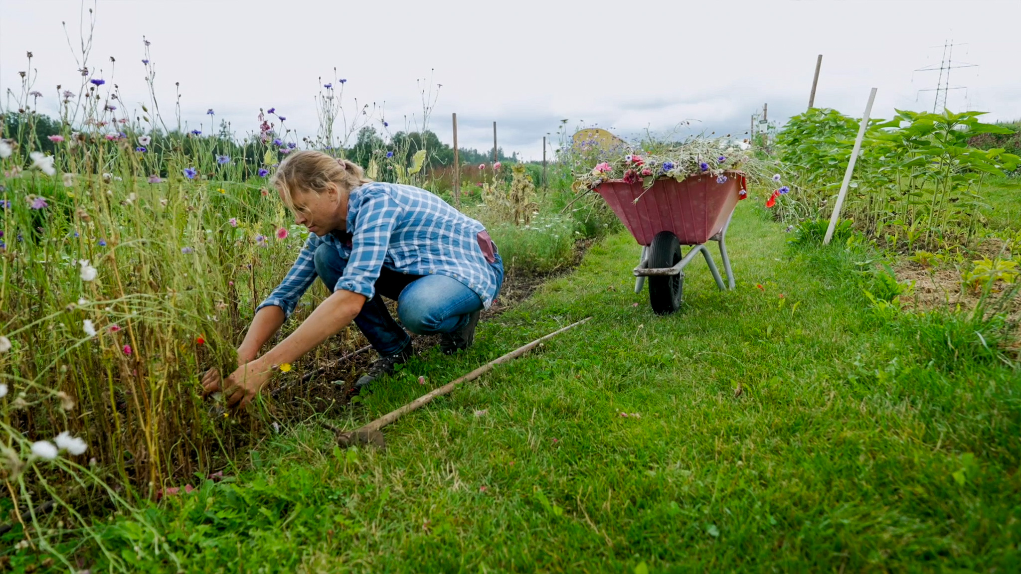 Frau beim Blumenbeet jäten