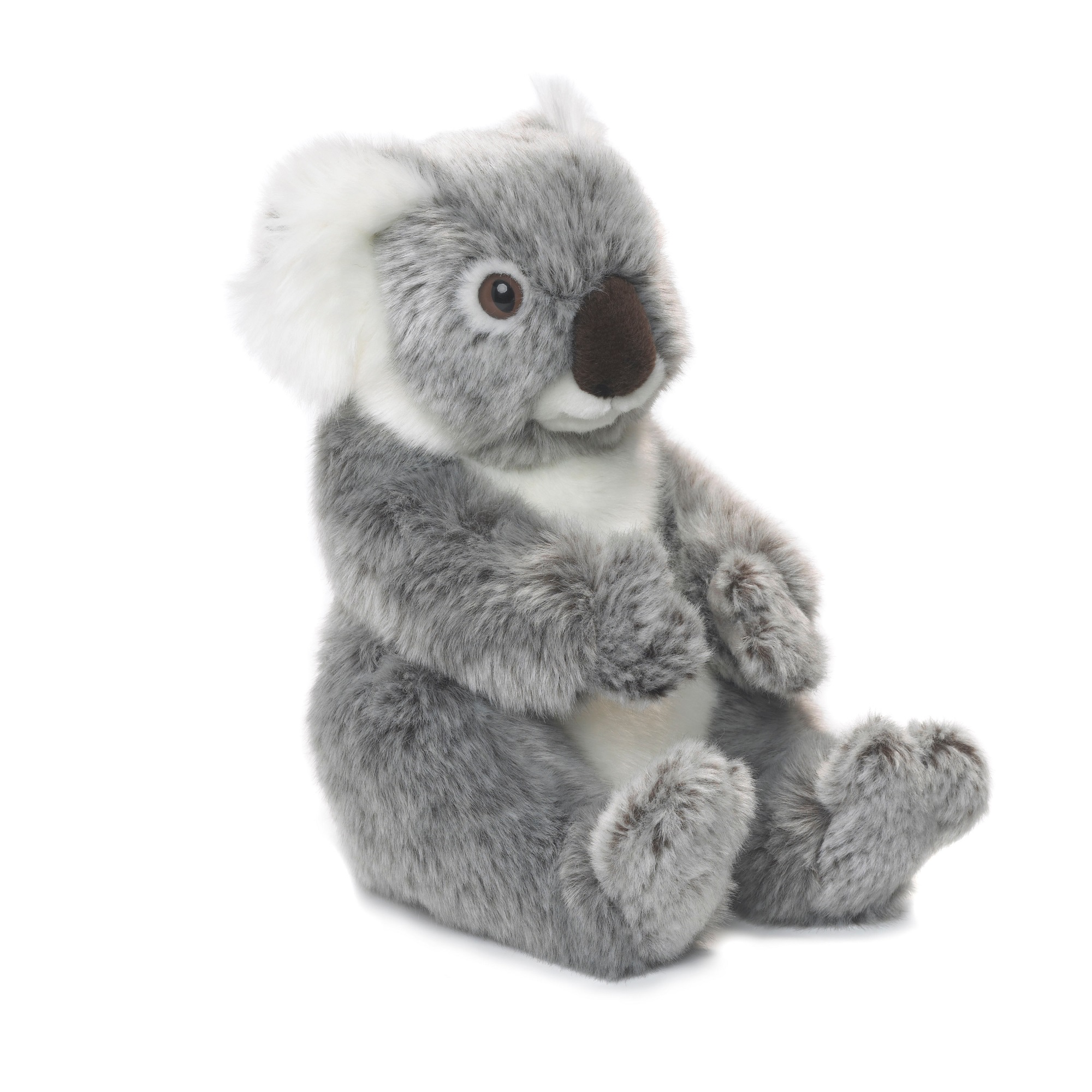 Peluche Koala Blanc