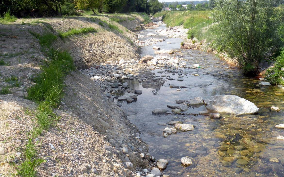 Riverwatch: Freiwillige werten Flüsse auf | WWF Schweiz