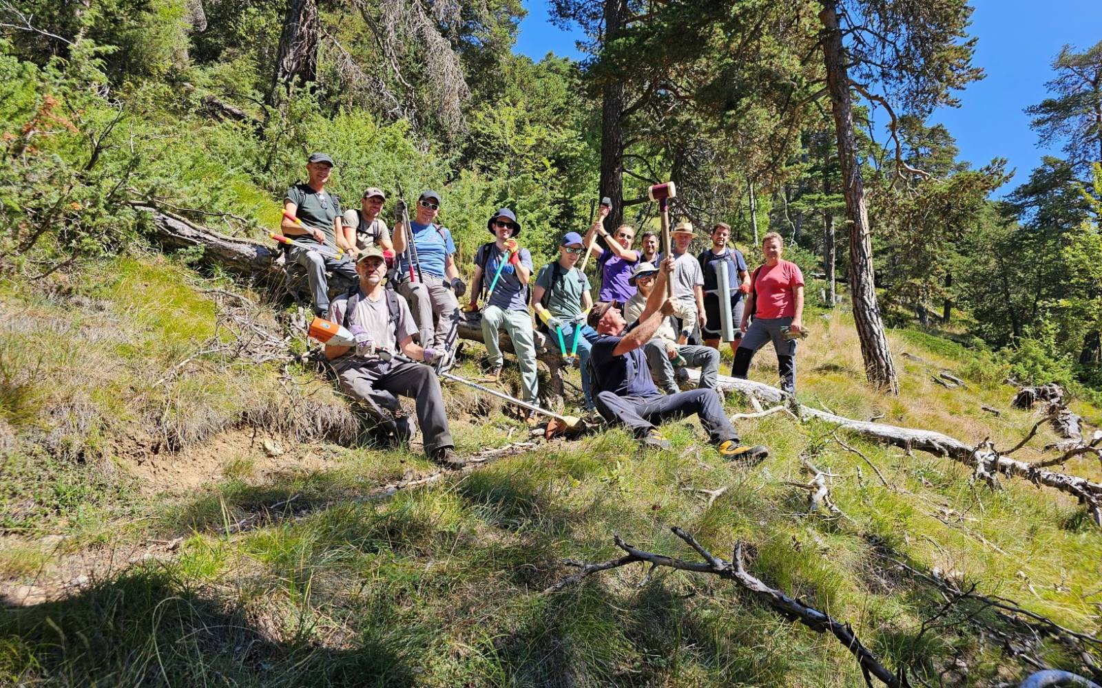 Corporate Volunteering Gruppenfoto im Wald