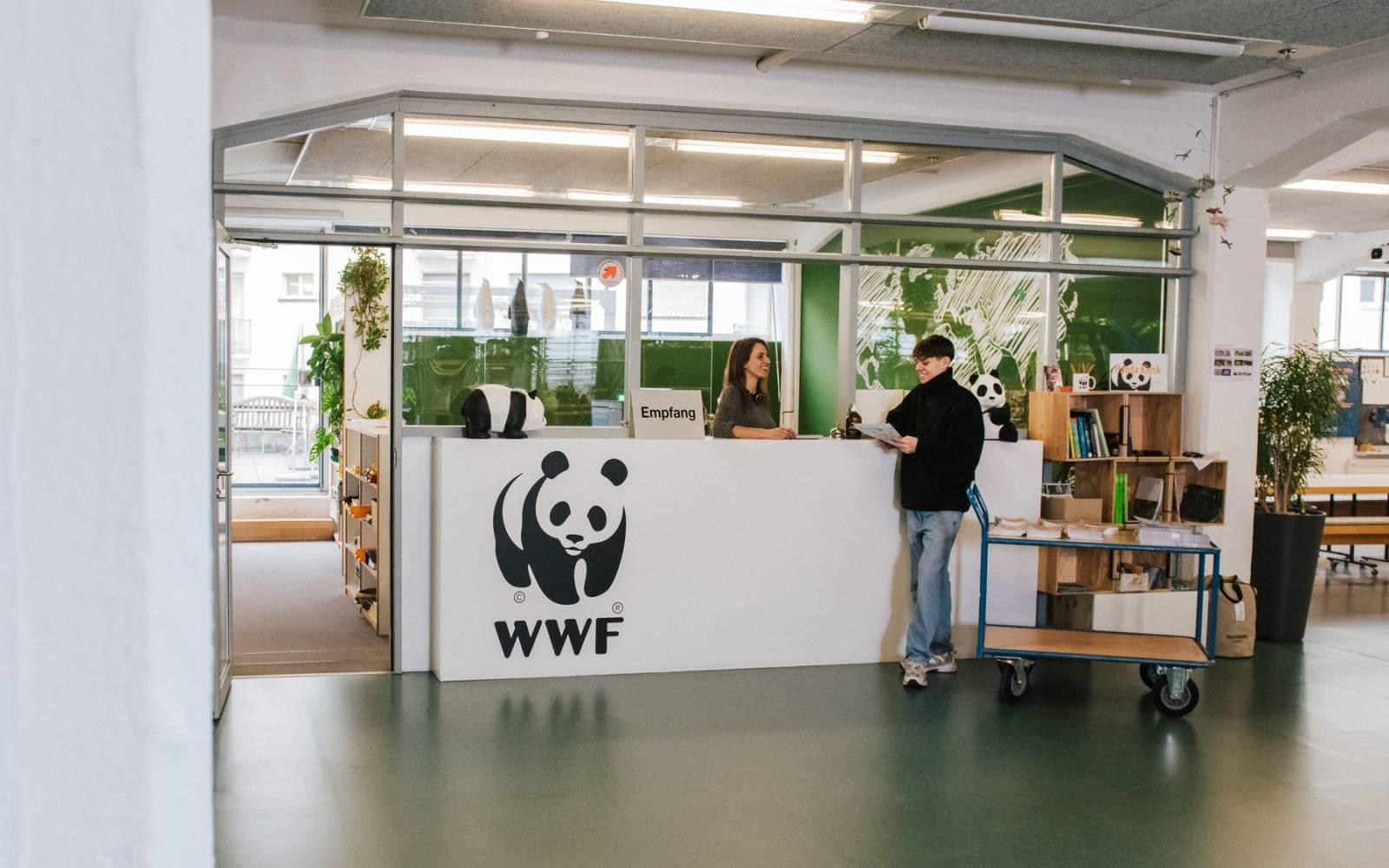 co-workers talking at WWF-office reception desk