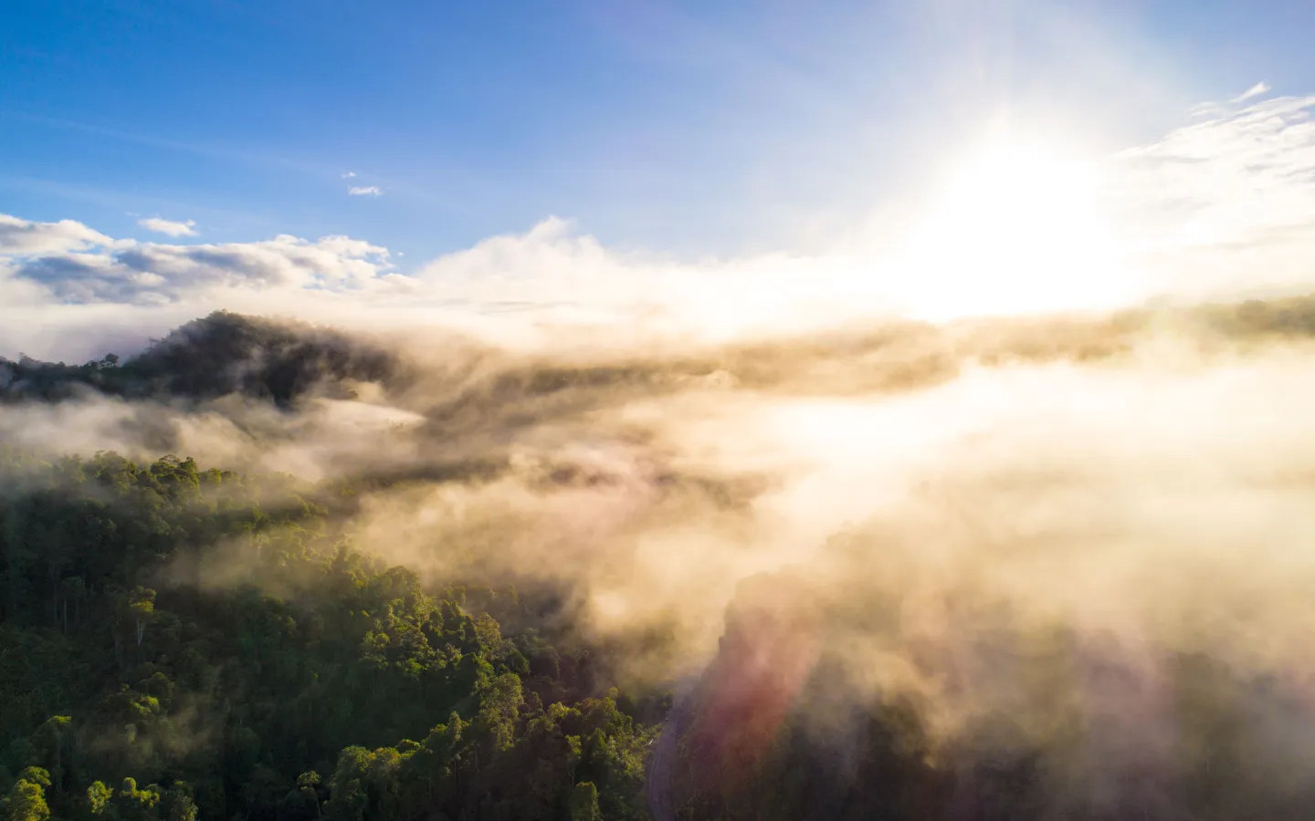 Landschaft in Kubaan Puak