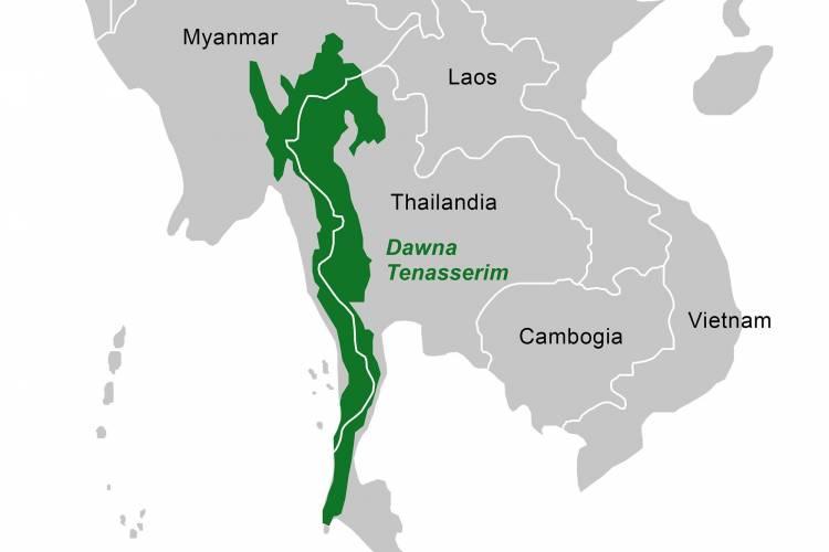 In Thailandia lanciate bombe di semi per combattere la deforestazione