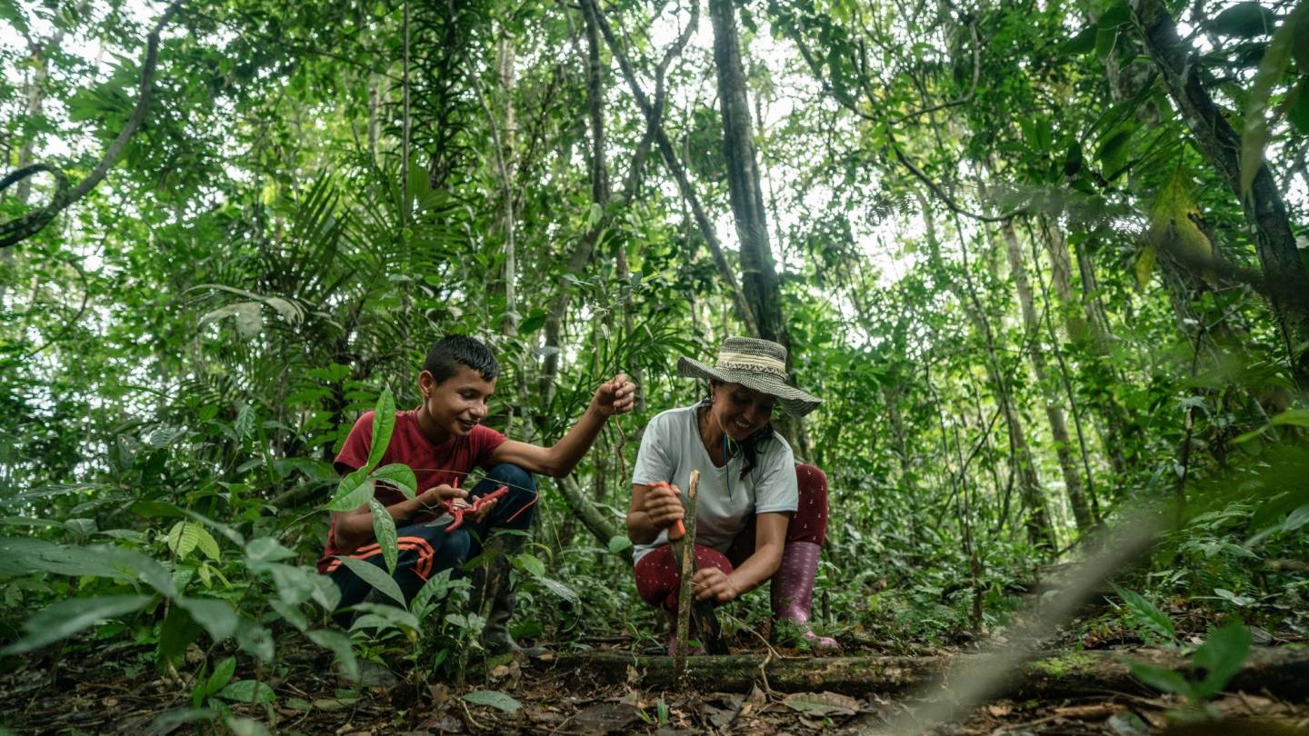 Kolumbien: Waldschutz Im Amazonas Für Mensch Und Natur | WWF Schweiz